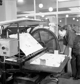 Skrivrit på Alderholmen. Januari 1945
