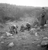 Hemvärnet. Oktober 1944

