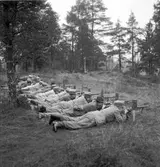 Hemvärnet. Oktober 1944

