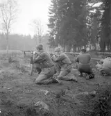 Hemvärnet. Oktober 1944

