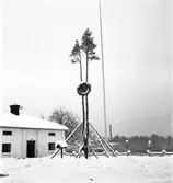 Godsägare Allan Söderhjelm, tagit hemma på lysningsdagen. Tolvfors
November 1944

