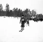 Fettisdagstävling. Skidor. År 1936