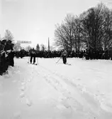 Fettisdagstävling. Skidor. År 1936
