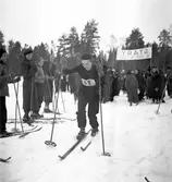 Fettisdagstävling. Skidor. År 1936