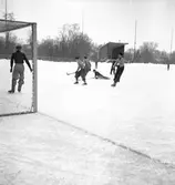 Reportage för Gefle Dagblad. Bandy på Strömvallen. 1936

