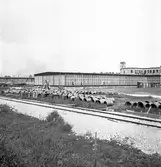 Sandviken. 75 - årsjubileum. Juli 1937

