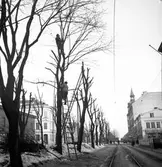 Nygatan mot Öster. Februari 1939. Reportage för Norrlandsposten