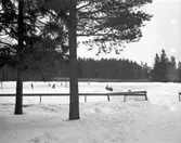 Reportage från Skutskär. Mars 1942
