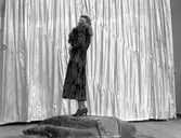 Bergströms Pälsv. AB, Norra Rådmansgatan 8. (Drottninggatan)
September 1937





