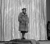 Bergströms Pälsv. AB, Norra Rådmansgatan 8. (Drottninggatan)
September 1937




