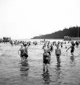 Reportage för Gefle Posten. Barnutflykt till Furuvik. September 1937





