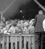 Reportage för Gefle Posten. Barnutflykt till Furuvik. September 1937





