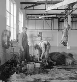 Slakthuset, Valbo. Oktober 1937





