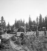 Kungabesök. Gustav V. I 14, Hälsinge regemente







