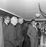 Fartygsleverans av M/S Fauna, den 12 juni 1965 på Gävle Varv. Troligtvis levererades fartyget från Gävle till Mariehamn på Åland.