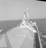 År 1963. Gävle Varv. M/S Nova.



