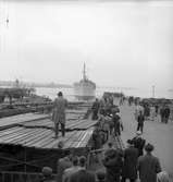 Den 2 maj 1963. Gävle Varv. Sjösättning av M/S Nova.



