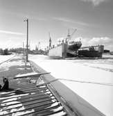 Den 14 mars 1962. Gävle Varv. Fartyget M/S Monarda, Stockholm i docka.


