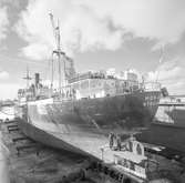 Den 14 mars 1962. Gävle Varv. Fartyget M/S Monarda, Stockholm i docka.


