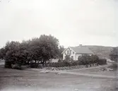 Enligt text som medföljde bilden: 