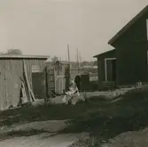 Eksebo: Statarebostad med tillhörande hönshus och svinhus.