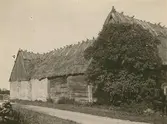 Ladugårdar med stråtak i Södra Bäck.