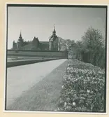 Kalmar slott från stadsparken.