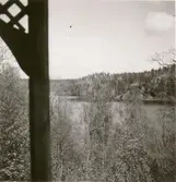 En skog och sjö vid Bjurvik.