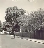 Söderportsgatan i Gamla staden. En man går med en käpp.