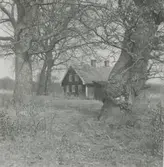 Skeppsbyggmästarebyggningen i Värnanäs.