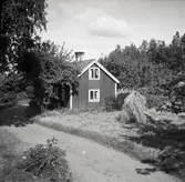 Fiskarställe vid Syrsan (vid doktor Synnerstads stuga).