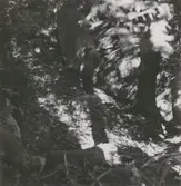 Pelle stabys stenstuga i skogen.