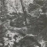 En stenstuga i skogen.