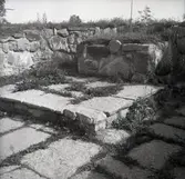 Kronobäck klosterruin.