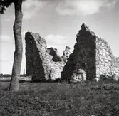 Kronobäck klosterruin.