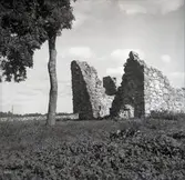 Kronobäcks klosterruin.