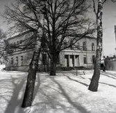 Läroverk i Oskarshamn.