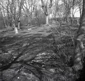 Kyrkogården vid Källa ödekyrka.