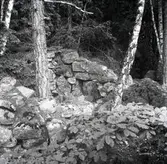 Hammars fäste i Mortorp.