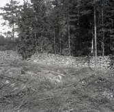 Hammars fäste i Mortorp.