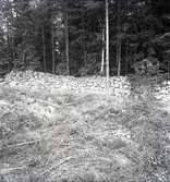 Hammars fäste i Mortorp.