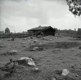 Bastu och gärdsgård i Näfstad.