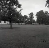 Jordkällare vid Igelösa åsar.