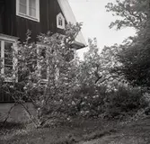 Motiv från Glömminge prästgård.