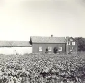 Motiv från en gård i Folkeslunda.