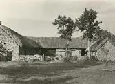 Uno Johanssons gård. Ladugården sedd inifrån gården.