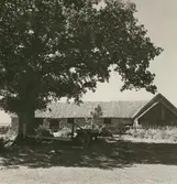 Motiv från en gård i Torp.