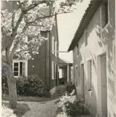 Boningshuset till vänster, norra flygelbyggnaden till höger. Ägare Edvin Andersson.