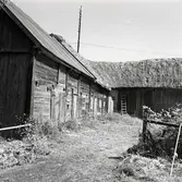 Södra längan av ladugården