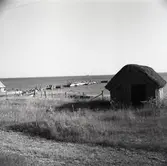 Sjöbod vid Kesnäsudden i Högby.